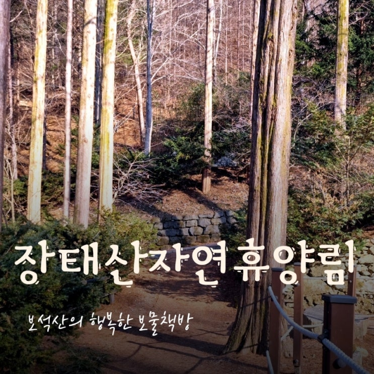 대전 서구 장태산자연휴양림ㅣ아이들과 가볍게 산책하기 좋은 곳