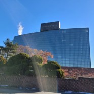 그랜드 하얏트 서울 호텔 테라스 평일 런치 뷔페, 할인, 주차, 가격