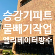 엘리베이터 피트 누수 물빼기 물차 있을때 양수작업 배수작업 승강기침수 용인 수원 일산 화성 성남 부천 남양주 안산 평택 안양 시흥 안성 오산 음성 천안 아산 이천 광주 청주