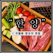 [인천 구월동 맛집 ] 양고기 맛집 " 한양 인천 본점 " 가족 외식!