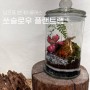 부산식물가게 남포동원데이클래스 쏘슬로우플랜트랩