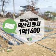 경북 칠곡군 약목면 덕산리 토지 매매 수도있음 텃밭 추천