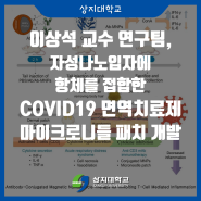 상지대 이상석 교수 연구팀, 자성나노입자에 항체를 접합한 COVID19 면역치료제 마이크로니들 패치 개발