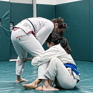 GRACIE JIUJITSU MASTER CYCLE 성인부 고급과정