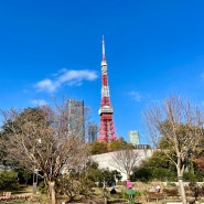 [Ep.4] 도쿄여행 마지막날🇯🇵도쿄타워ㅣ일본에 살고있는 언니집 놀러가기