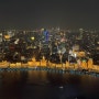 상하이 Shanghai 1탄 난징동루, 레고 스토어, 주자각, 동방명주, 동방명주 뷔페