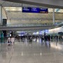 홍콩 공항 짐보관 옹핑 빅부다 케이블카 가는법 예매팁