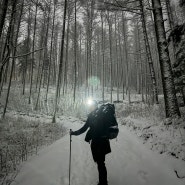 [정선 자작나무숲 동계 백패킹] 새하얀 눈으로 뒤덮인 겨울 숲 백패킹!