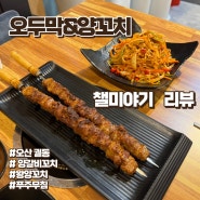 [오산] 궐동 양꼬치 맛집 '오두막&양꼬치'