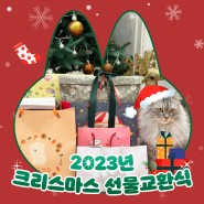대구 마케팅회사의 2023 크리스마스 선물 교환식!