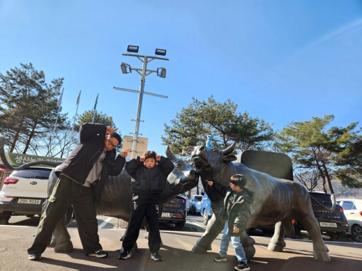 청도가볼만한곳 소싸움경기장 소싸움미디어체험관