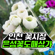 인천 꽃시장 은성꽃도매상가 구매 후기