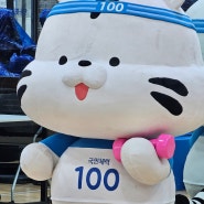 국민체력100 측정 후기 KSPO 송파체력인증센터