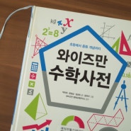 와이즈만 수학사전 : 엄마에게 하는 수학 질문을 줄여주는 책