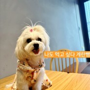 청주 동남지구 카페 계란빵 맛집 2100_cafe(내돈내산후기)