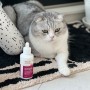 고양이관절염과 고양이방광염을 예방할 수 있는 시그니처바이 AR-78 feline