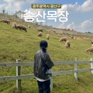 <광주광역시> 아기랑 동물 먹이체험, 승마 체험 가능한 양떼 목장 “송산목장”