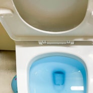 비누 들어가 화장실 변기 막힘 해결 뚫어주는 수원 업체 추천