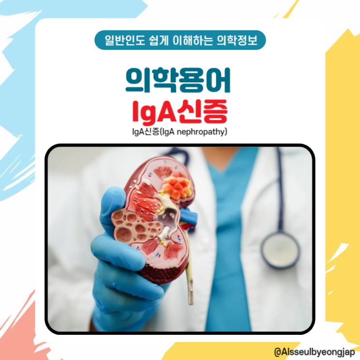 IgA 신증 치료방법과 증상, 다른 신장질환과의 차이점 : 네이버 블로그