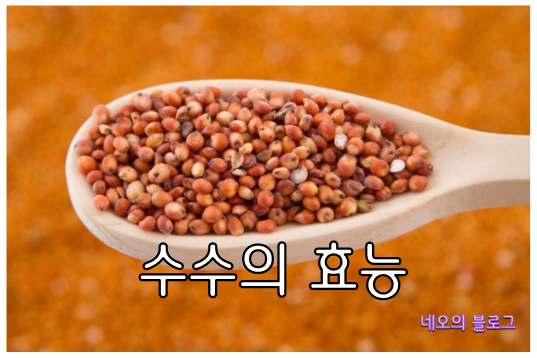 수수 효능 수수의 영양 성분 12가지 : 네이버 블로그