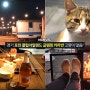 [맨블] 경기 '포천클럽아일랜드 카라반' 프라이빗 바베큐/불멍! 고양이와 함께 하는 캠핑, 포천숙소