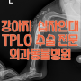비숑프리제 십자인대 손상 TPLO 수술은 외과동물병원에서 진행하세요 / 인천 정형외과 동물병원