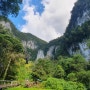 동 말레이시아 여행 - 구눙물루 공원, 사슴 동굴, 랑 동굴, 박쥐 엑소더스