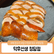 압구정로데오맛집 덕후선생 청담점, 북경오리가 정말 맛있는곳 데이트코스 추천 !