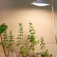 식물등 추천, 마녀박스 식물성장조명 튼튼한 LED등 스탠드까지