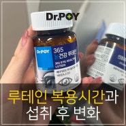 루테인 복용시간과 섭취 후 변화 총정리