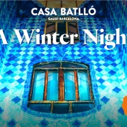 세상 특별한 바르셀로나 여행, 카사바트요 야간관람 "겨울밤" - 3월 17일까지만!!!