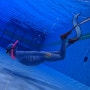 대전 프리다이빙 체험 강습 용운국제수영장 비프리 원데이클래스