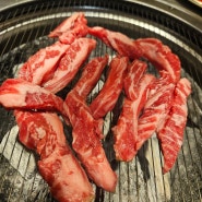 [안양 맛집] 고탐갈비 고기를 탐구하는 사람들 추천 안양일번가 고기 회식 추천