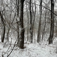 블로그씨는 추워도 동네 공원에 나가 걷는 것을 좋아해요. 우리 동네 산책 코스를 사진과 함께 소개해 주세요~