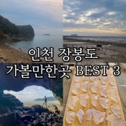 인천 장봉도 여행 가볼만한곳 BEST 3(공룡해식동굴, 바닷길식당 등)