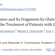 글루텐과 그 구성요소를 효과적으로 분해할 수 있는 글루텐 특이적 단백질 분해효소 리뷰 논문
