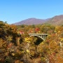 일본일기 #46 / 센다이 단풍 명소🍁 센다이 카페, 오나가와 산마 마츠리, 나루코 온천마을, 나루코 협곡