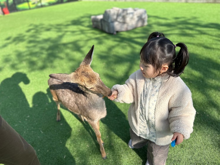 청주 쥬니멀 실내 동물원 추운 겨울 아이와 갈만한 곳