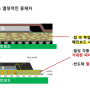 유리기판 공부 (지속 업데이트 최종 : 24.2.3)