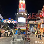 [일본여행] 도쿄 우에노 시장 아메야요코초