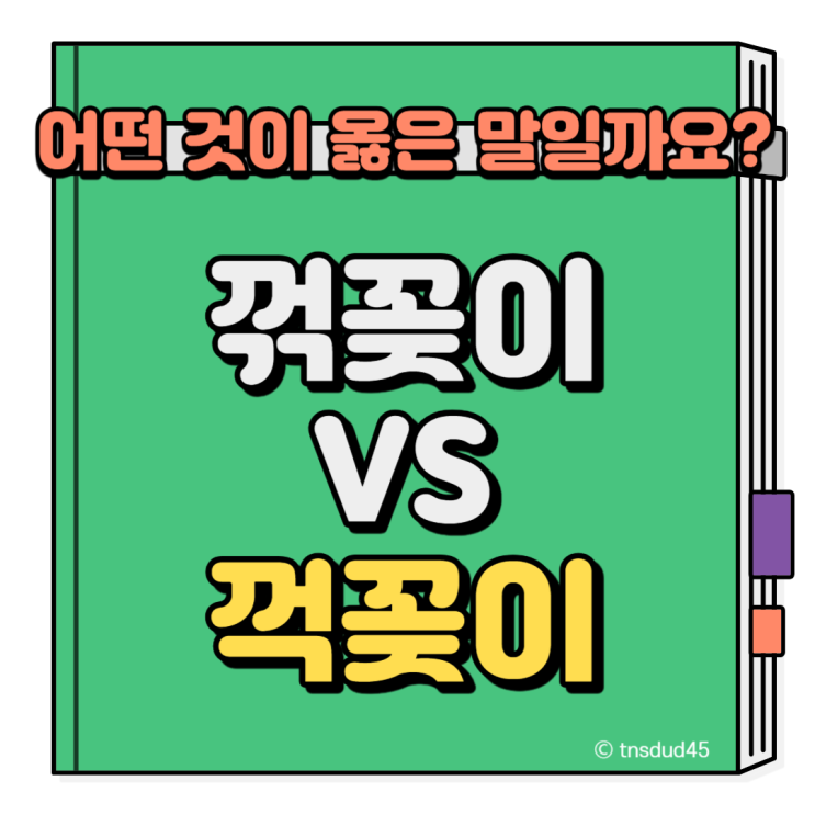 꺾다 꺽다 꺾꽂이 꺽꽂이 : 네이버 블로그