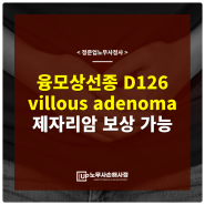 융모상선종 질병코드 D126 제자리암 보상 가능성(villous adenoma)