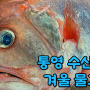 통영 어시장 :: 납작금눈돔, 볼락, 감성돔, 우럭볼락