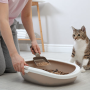 똥을 밟는 고양이 이유와 화장실 이용을 잘하기 위한 조건