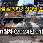 프로젝트 11월차 (2024년 01월) 결산