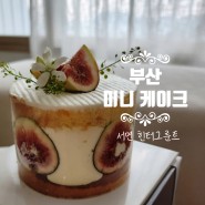 부산 미니케이크 힌터그룬트 feat. 심플 남편 생일상차림