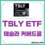 월배당 TSLY ETF : 배당74.95%