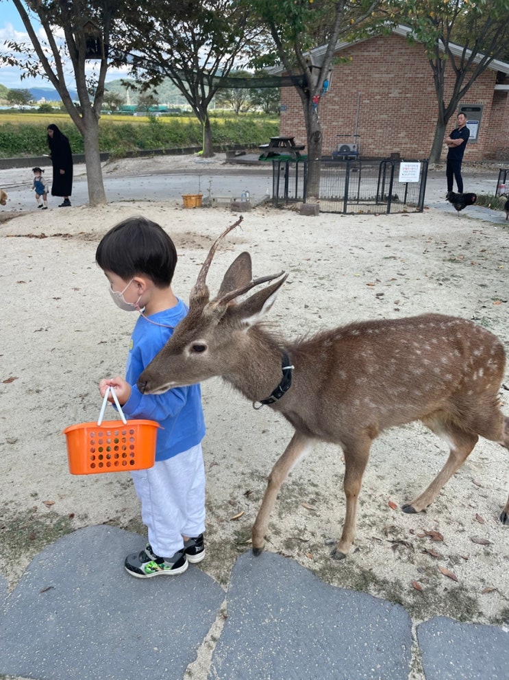 (진주카페) 애니멀프렌즈 : 동물 먹이주기 가능한 실내 동물원...