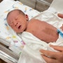 제왕절개 6일차 : 산부인과 퇴원 / 수술 비용 / 신생아 1시간거리 이동