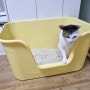 타미앤제니 고양이 특대형 화장실/갓성비 고양이 화장실 추천